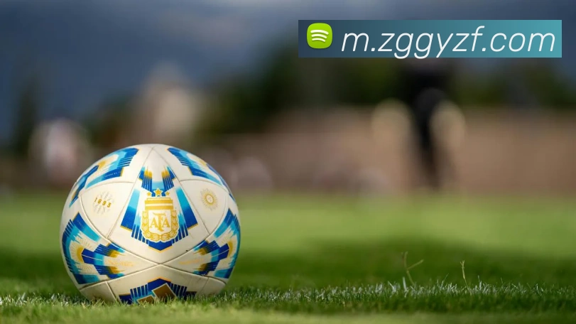 mksports体育APP 高清赛事图